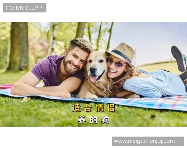 足球明星与爱犬情缘揭秘你知道哪个球星最爱狗狗吗