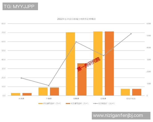 杭州排球队的崛起之路：从默默无闻到奥运舞台的辉煌历程