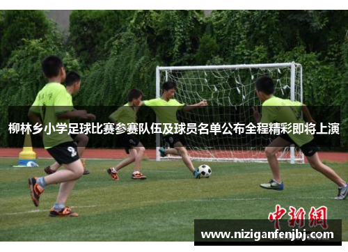 柳林乡小学足球比赛参赛队伍及球员名单公布全程精彩即将上演