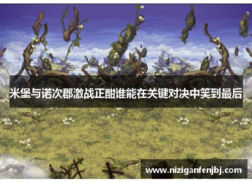 米堡与诺次郡激战正酣谁能在关键对决中笑到最后
