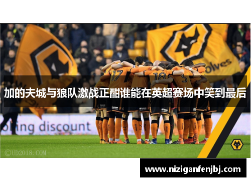 加的夫城与狼队激战正酣谁能在英超赛场中笑到最后